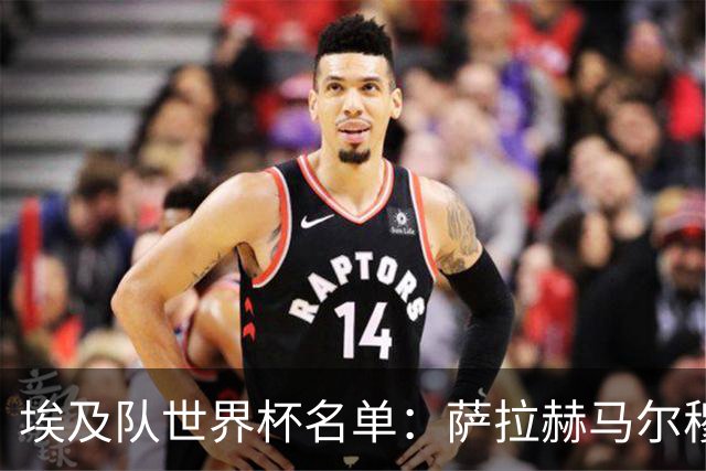 埃及队世界杯名单：萨拉赫马尔穆什领衔 首战踢比利时