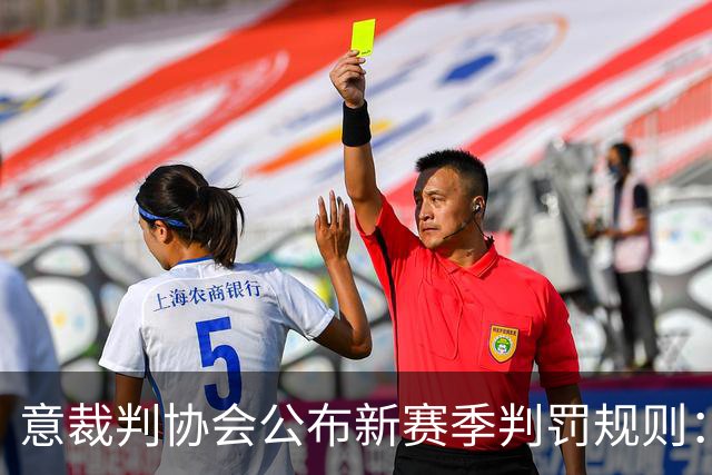 意裁判协会公布新赛季判罚规则：捂嘴不会吃红牌，VAR可介入第2黄