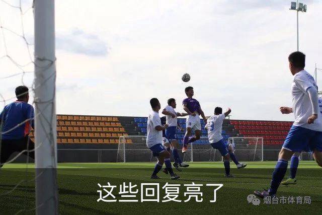 这些回复亮了